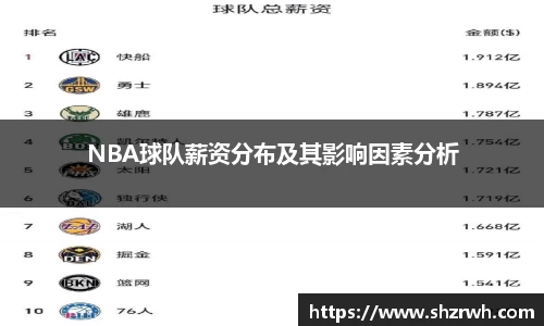 NBA球队薪资分布及其影响因素分析
